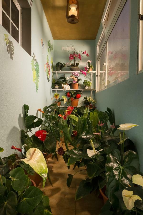 Paradise House Calheta 外观 照片